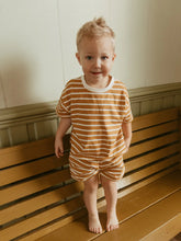 toby set in cinnamon