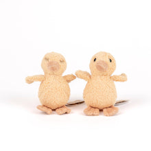 quack and waddle the ducklings