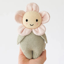 blush pink baby daisy