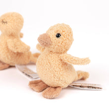 quack and waddle the ducklings