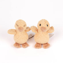 quack and waddle the ducklings