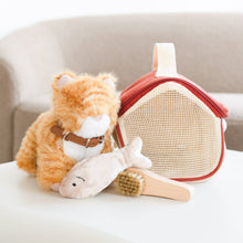 munchkin cat and carrier