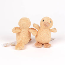 quack and waddle the ducklings