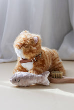 munchkin cat and carrier