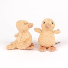 quack and waddle the ducklings