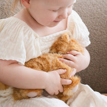munchkin cat and carrier