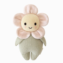 blush pink baby daisy