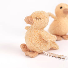 quack and waddle the ducklings