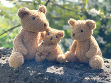wallace the bear