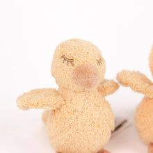 quack and waddle the ducklings