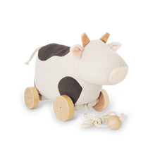 pull along cow