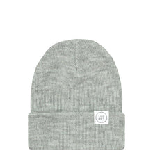 beanie in heather gray