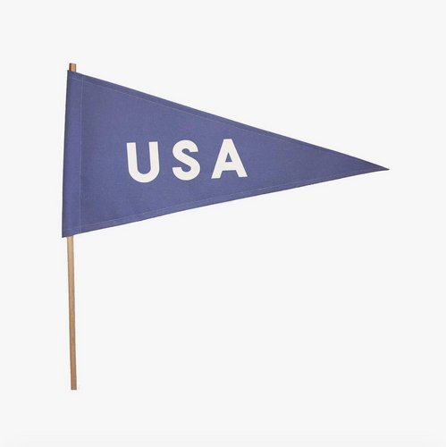 FINAL SALE: usa pennant