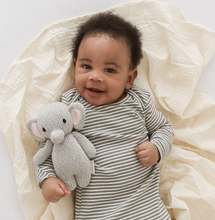 cuddle+kind baby elephant