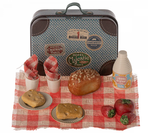 picnic set in suitcase