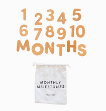 leather monthly milestones