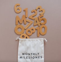 leather monthly milestones