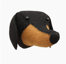 dachshund head mini