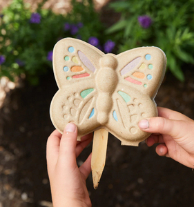 curious butterfly garden kit