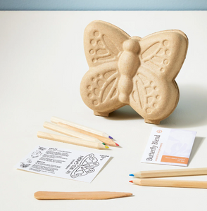 curious butterfly garden kit