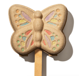 curious butterfly garden kit