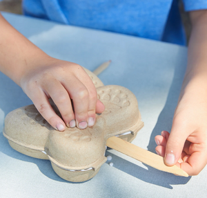 curious butterfly garden kit