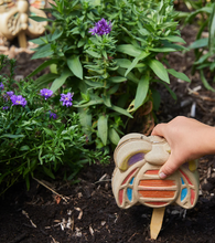 curious ladybug garden kit