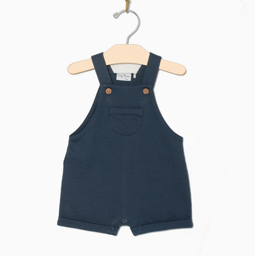 indigo overalls