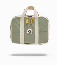 the lunchbox in sage