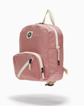tiny tommy pack in rose