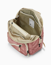 tiny tommy pack in rose
