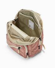 tiny tommy pack in rose