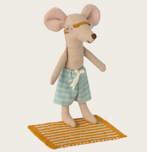 beach set for big brother mouse