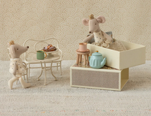 royal mice twins in box