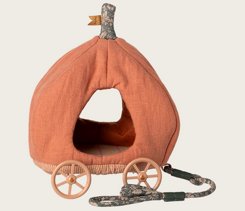 stripes pumpkin carriage for mice