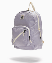 big tommy pack in lavender