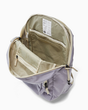 big tommy pack in lavender