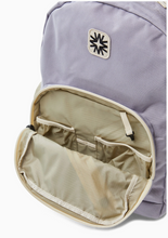 big tommy pack in lavender