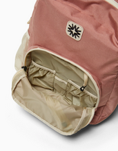 big tommy pack in rose