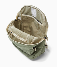 big tommy pack in sage