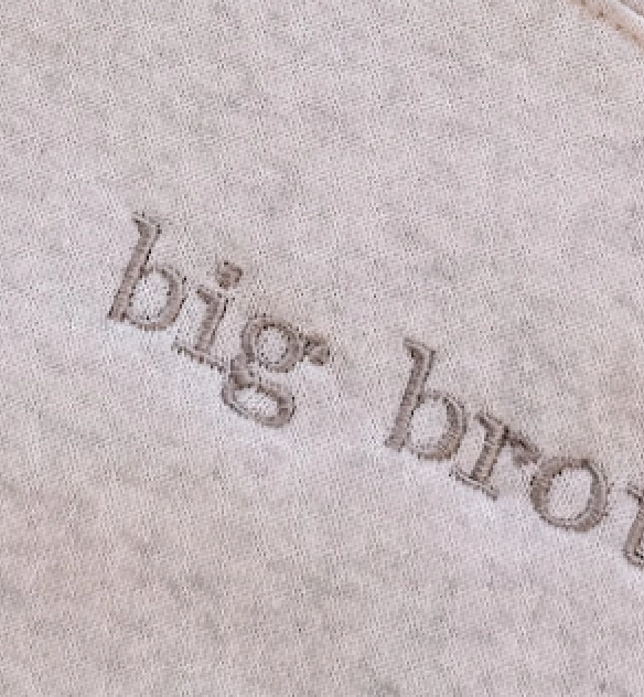 embroidered big brother sweatshirt