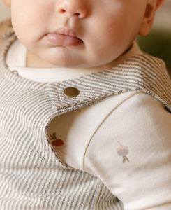baby railroad overall