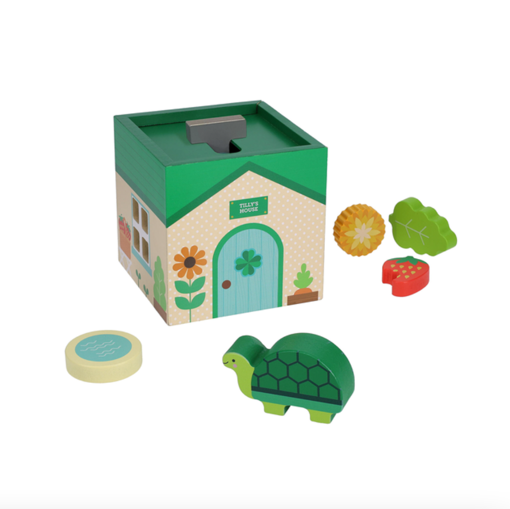 petit pals: tilly tortise