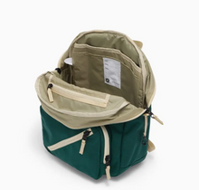 tiny tommy pack in forest