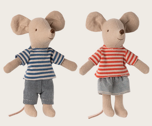 louimax and stella in house box