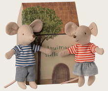 louimax and stella in house box