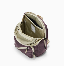 tiny tommy pack in purple