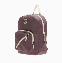 big tommy pack in purple
