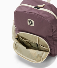 big tommy pack in purple