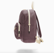 big tommy pack in purple